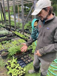 Ian Maas with his starter plants